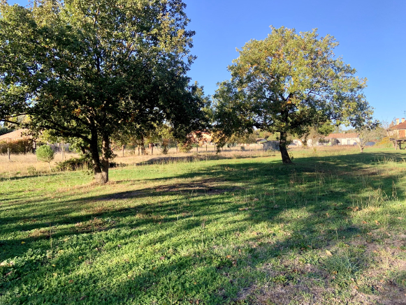 TERRAIN VIABILISE MURET 700m2