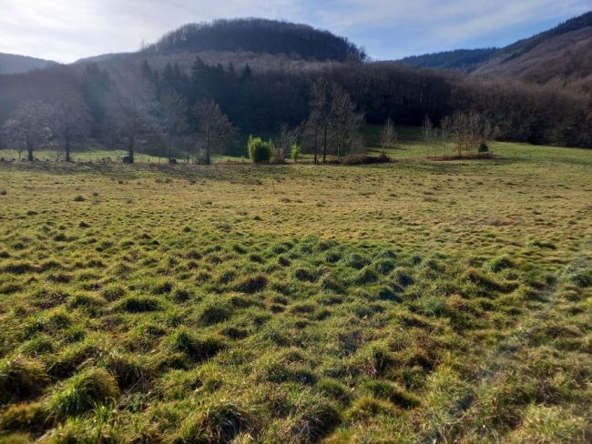 Mazamet, terrain à bâtir de 1300 m²