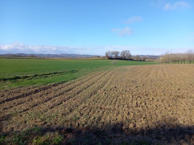 Jonquières, terrain à bâtir de 1400 m²