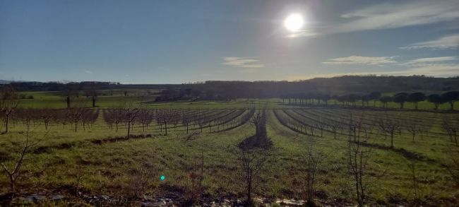 Terrain à bâtir de 1400 m² à Sémalens, proche écoles et commodités