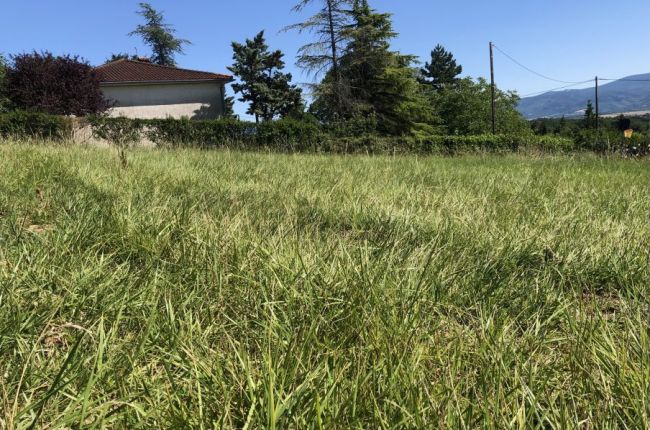 Castres, terrain à bâtir plat et viabilisé de 750 m²