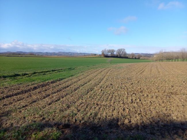 Jonquière, très agréable terrain de 1400 m² à la vue dégagée