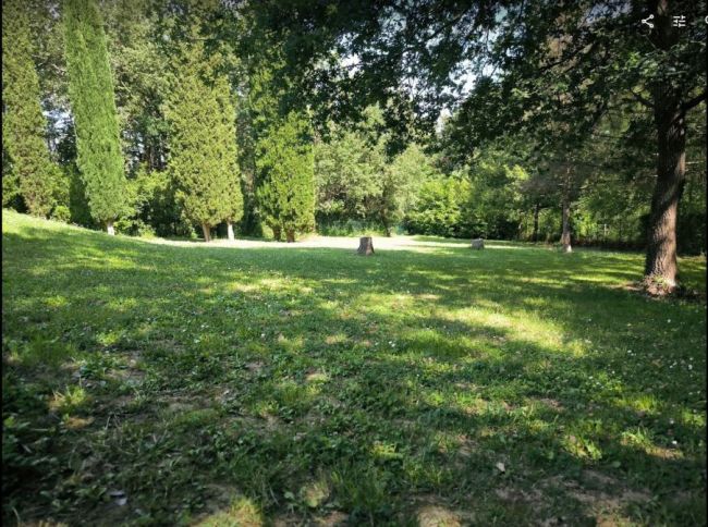 Parcelle entouré d'un bois hors lotissement au calme
