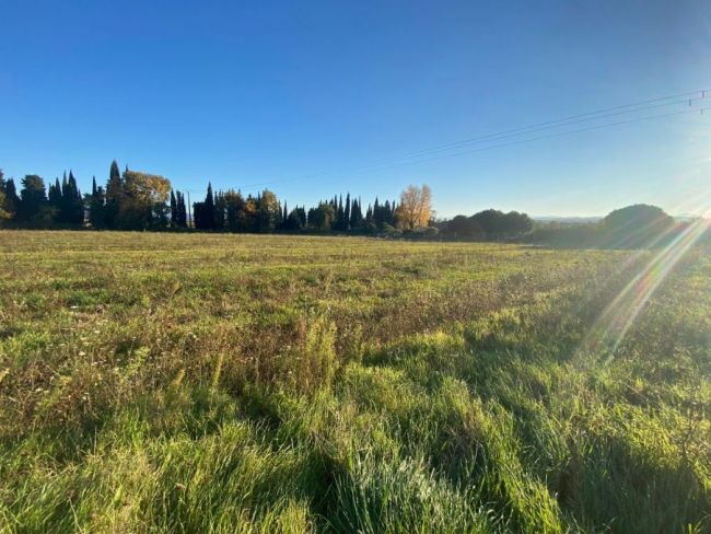 Belle parcelle de 7247 m² avec vue sur les Pyrénées plat sur Brugairolles