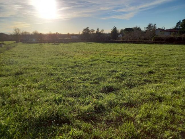 Castres terrain plat de 1000 m²