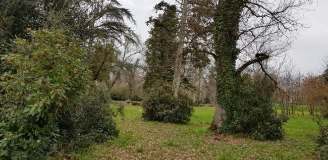 Beau terrain à bâtir à Montauban