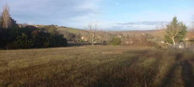 Terrain de 800 m² à vendre à Sémalens, proche écoles et commodités 43 000 €