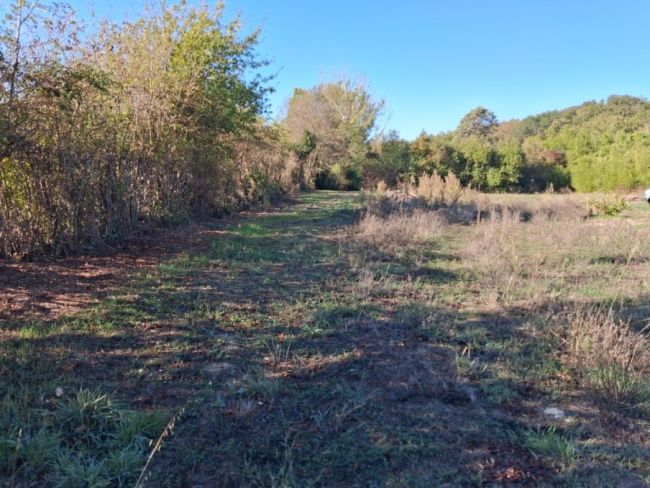 Roquecourbe 81210, terrain plat de 1400 m²