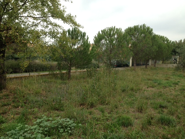 Terrain à St Clément de rivière