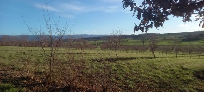 Cambounet sur le Sor, terrain de 750 m², 43000 €