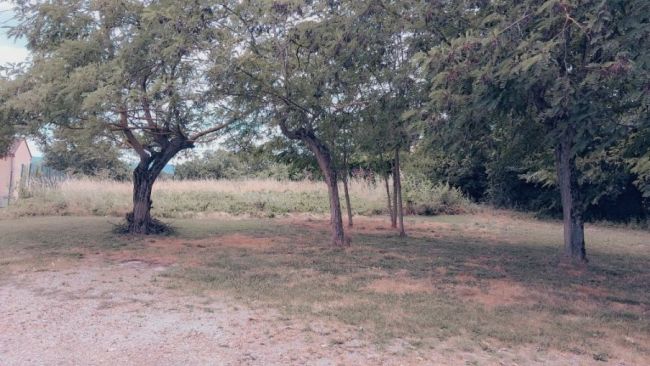 Cambounet sur Sor, terrain plat de 1000 m²