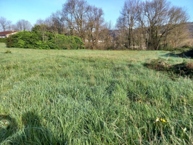 Mazamet, terrain à bâtir de 1177 m²