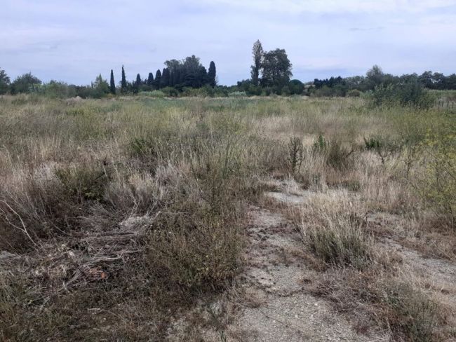 Superbe terrain avec vue dégagée sur les vignes (11700)