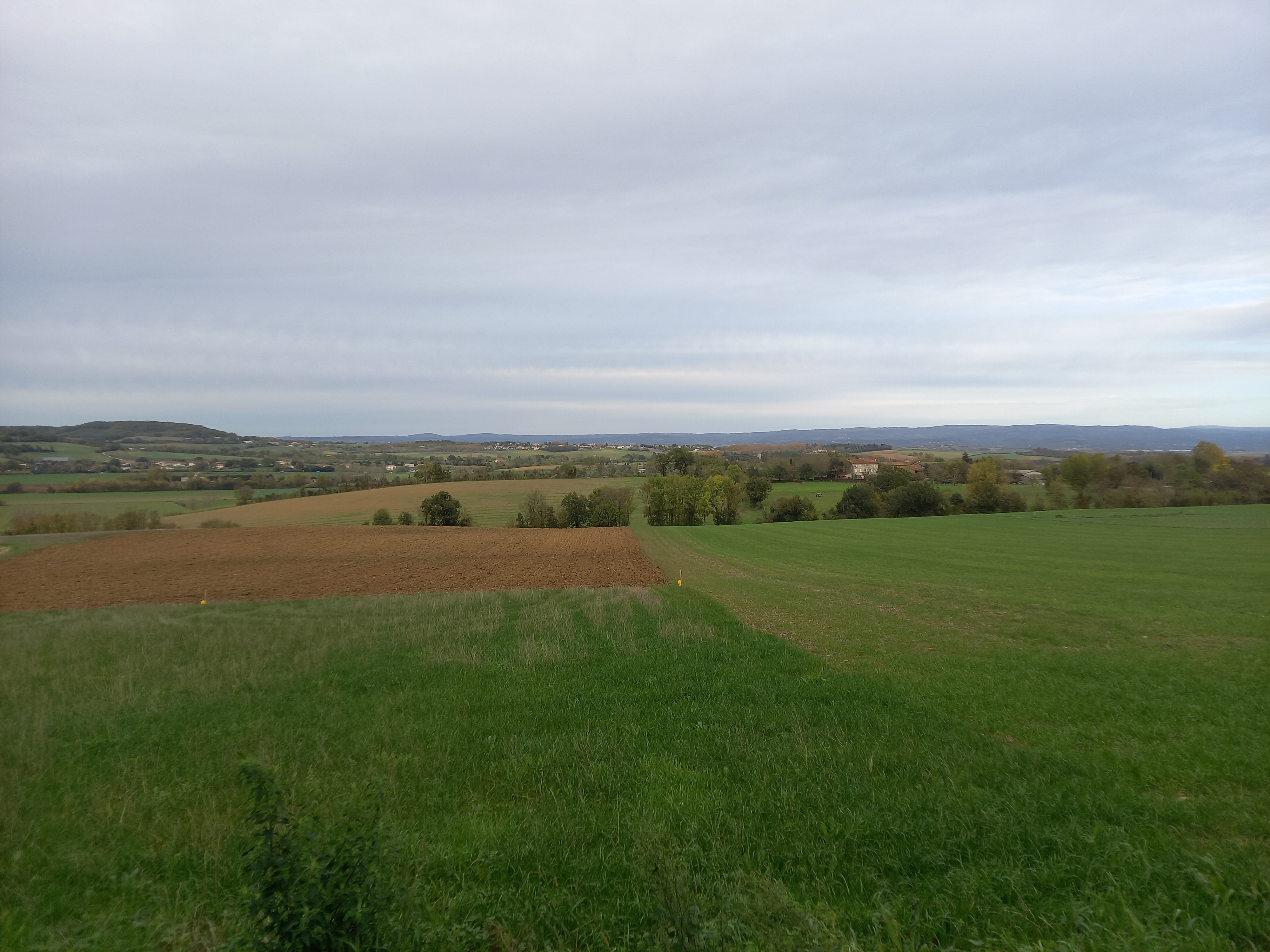 Saint Affrique, terrain à bâtir de 1000 m²