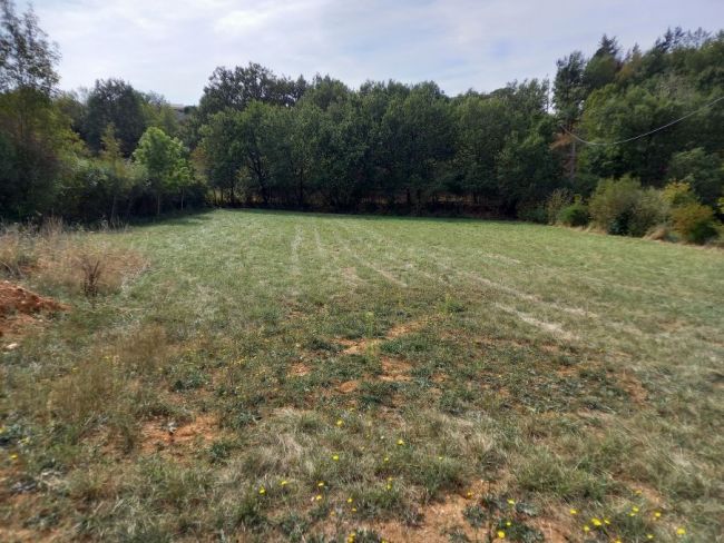 Castres, terrain à bâtir de 1346 m²