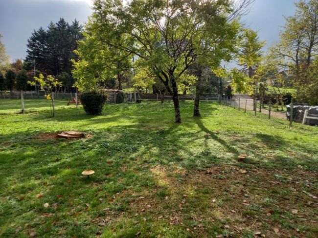 Castres, proche centre ville, terrain plat et viabilisé de 750 m²