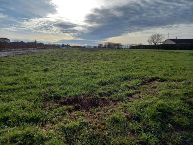 Castres, terrain plat et viabilisé de 750 m²