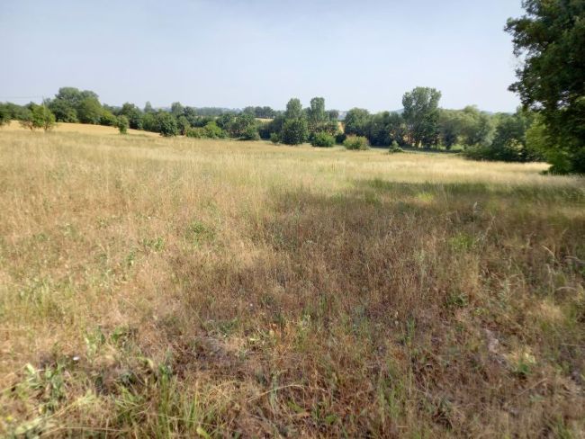 Blan, terrain à bâtir, viabilisé de 840 m²