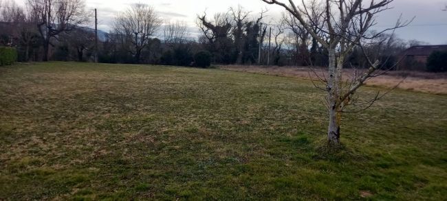 Castres, terrain plat à bâtir de 1500 m²