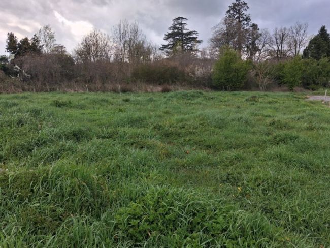 Valdurenque, très beau terrain plat de 1599 m²