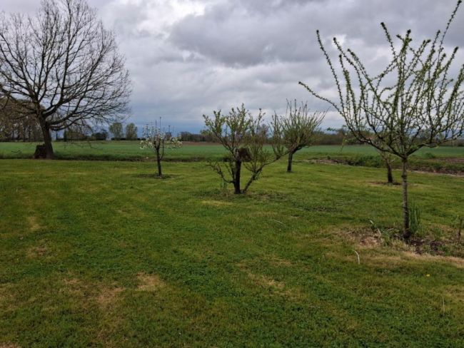 Poudis, terrain plat au calme de 1359 m²