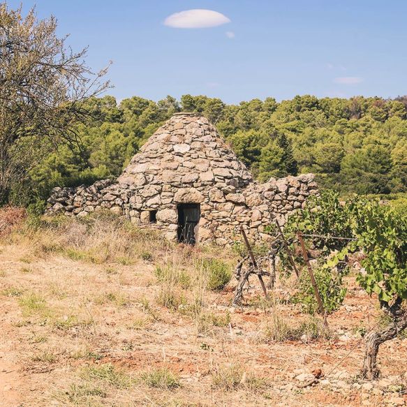 Quarante  proche de Narbonne Terrain  300m², constructible et viabilisé proposé avec un projet de construction