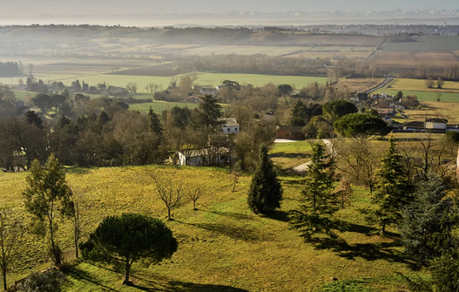 GRAND TERRAIN VIABILISE QUINT-FONSEGRIVES 1608m2