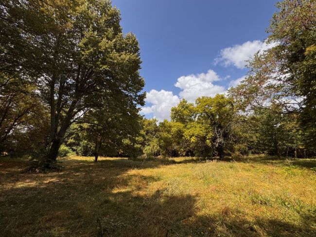 Environnement d'exception - terrain à bâtir de 2000 m²