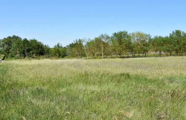 Terrain de 396m² à St Mamert du Gard, 30 730