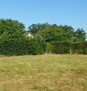 beau terrain 1100 m2 plat arboré