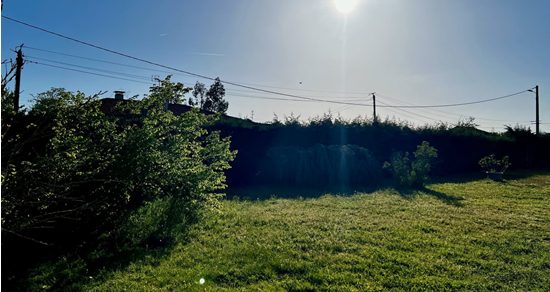 A SAIRIR FONSORBES TERRAIN