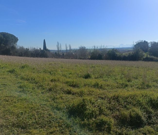 Terrain avec vue dégagé sur lauragais et ou Pyrénées