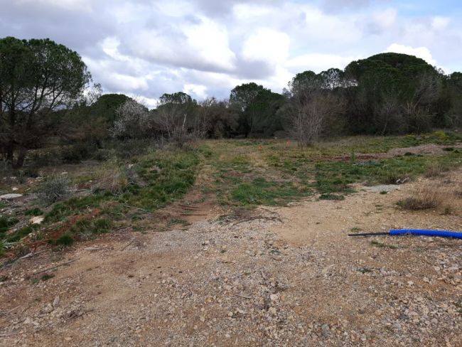 A SAISIR DERNIER TERRAIN 263 M² 11200 FERRALS LES CORBIERES