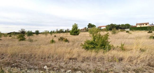 Terrain avec superbe vue au calme a CONQUES SUR ORBIEL 11600 1000M2