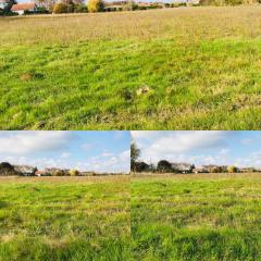 Terrain 525m² Viabilisé! - Grenade 31330