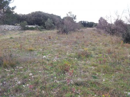 TERRAIN A BATIR 34170 CASTELNAU LE LEZ VUE NATURE