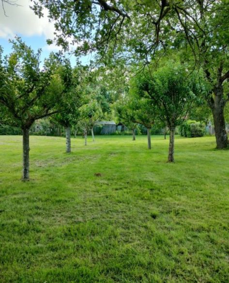 DIVISION PARCELLAIRE à SAISIR 1100 M2 SAINT LYS COTE FONSORBES