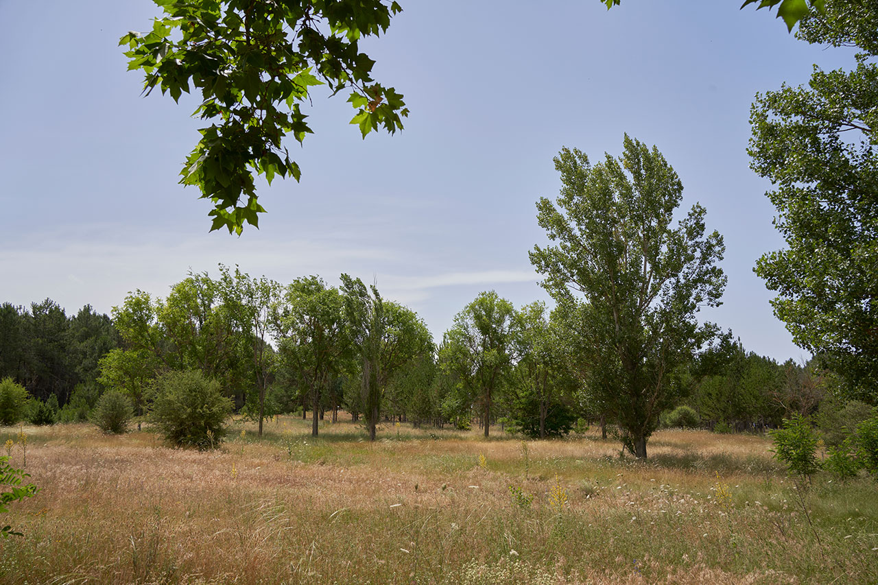 Grand terrain de 4000m² a St-Paul-Cap-De-Joux