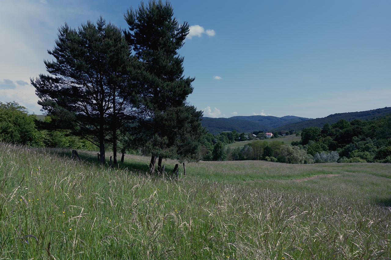 Terrain à bâtir à Saint-Lys de 780m²