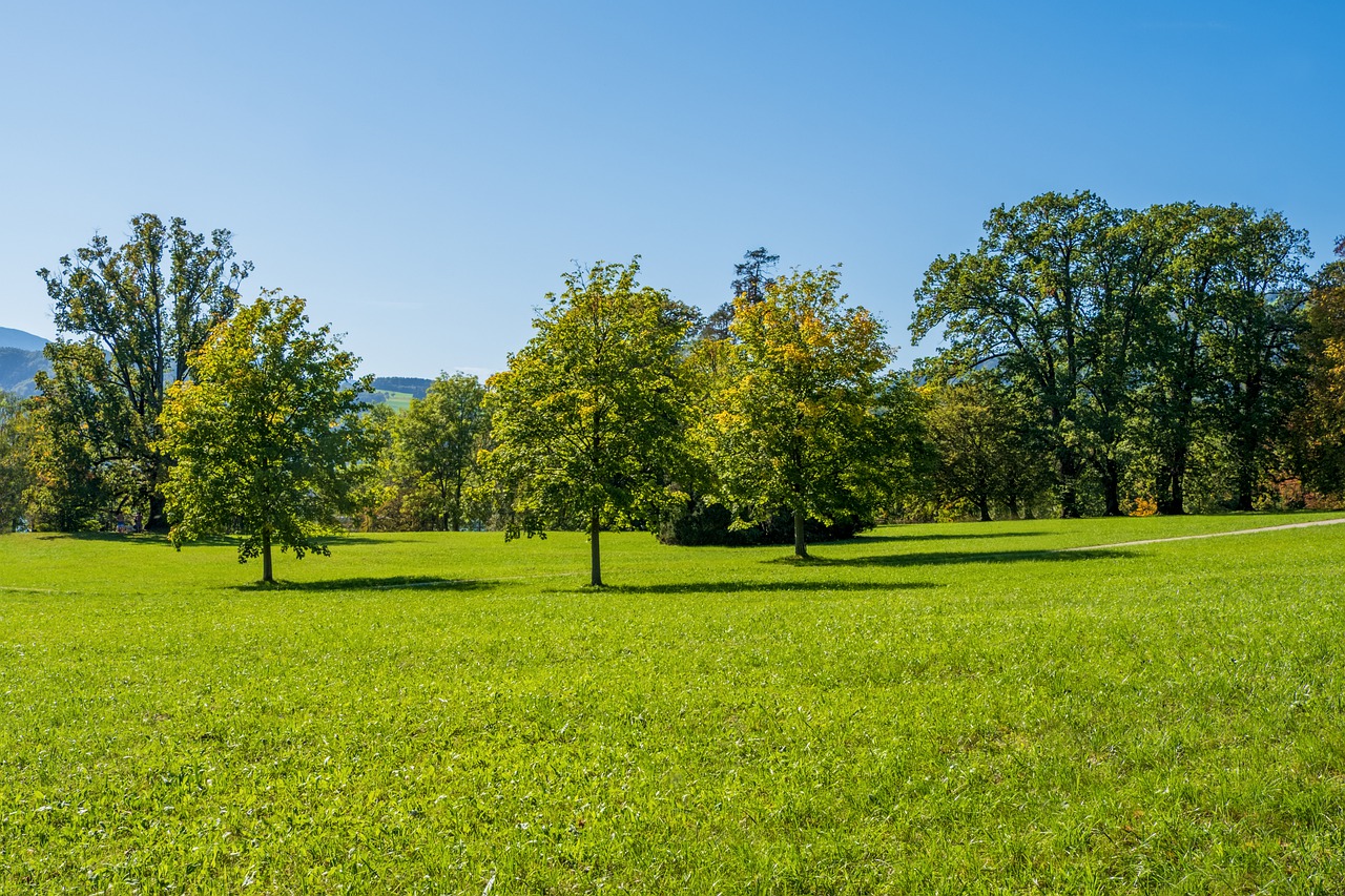 Terrain constructible sur Lavernose - Lacasse